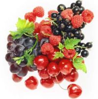 berriesb.jpg