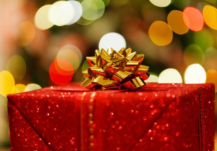 a_christmas_gift.jpg