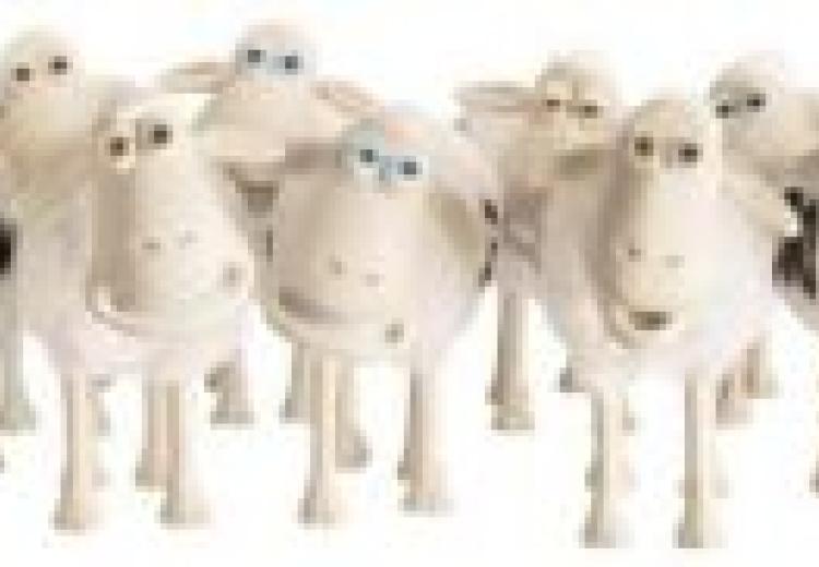 counting.sheep_.jpg