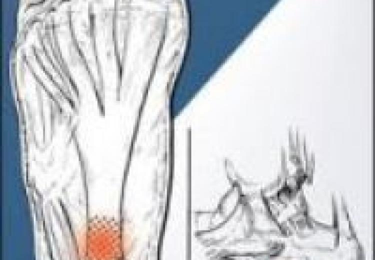 foot3.jpg