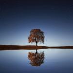 Extraordinary Tales of Trade